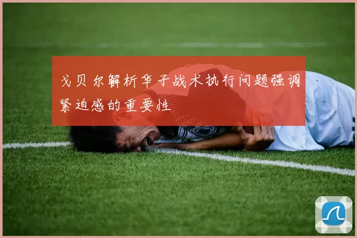 戈贝尔解析华子战术执行问题强调紧迫感的重要性