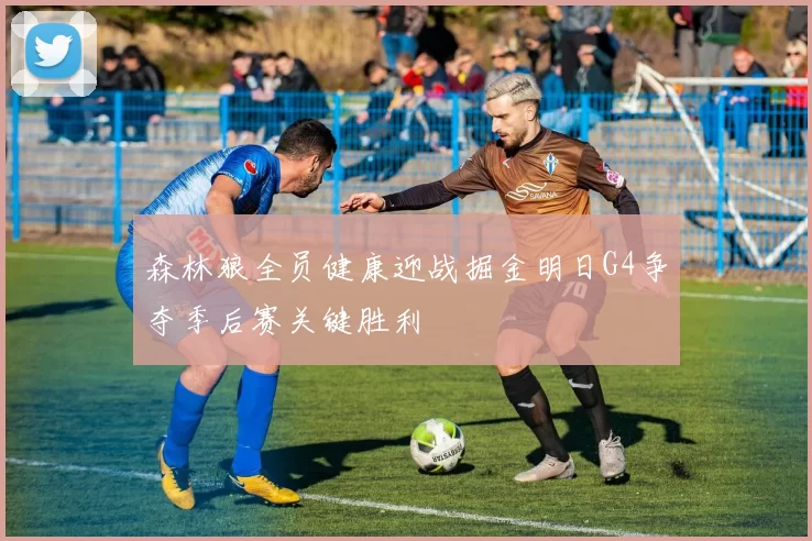 森林狼全员健康迎战掘金明日G4争夺季后赛关键胜利