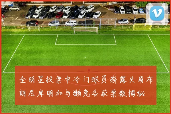 全明星投票中冷门球员崭露头角布朗尼库明加与獭兔各获票数揭秘